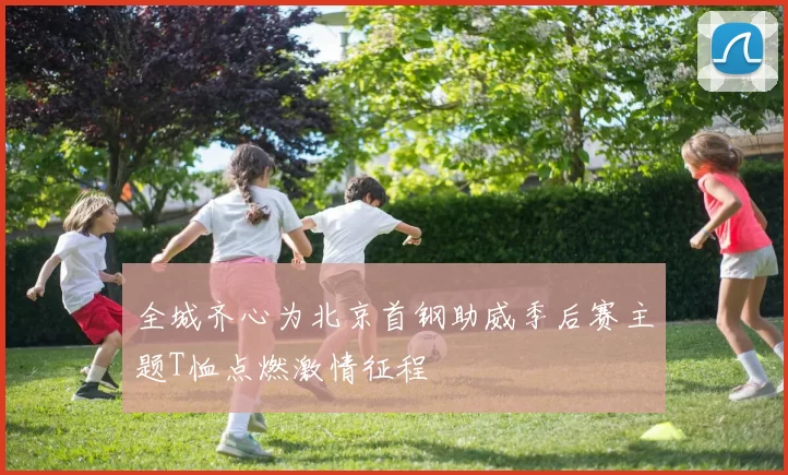 全城齐心为北京首钢助威季后赛主题T恤点燃激情征程