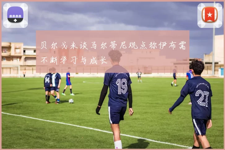 贝尔戈米谈马尔蒂尼观点称伊布需不断学习与成长